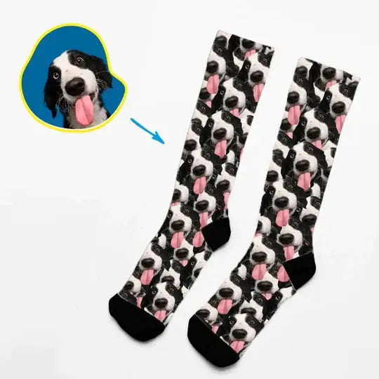 Vier Pfoten – Socken mit Hundeportrait